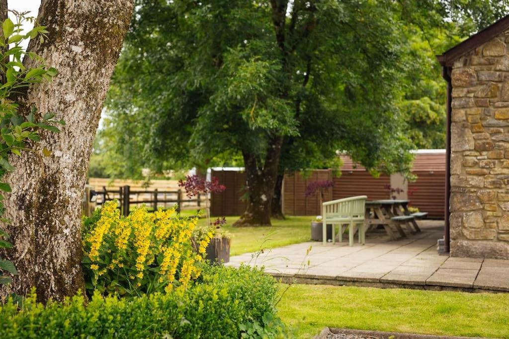 Dairy Cottage At Scolton Cottages - Indoor Pool Haverfordwest Exteriér fotografie